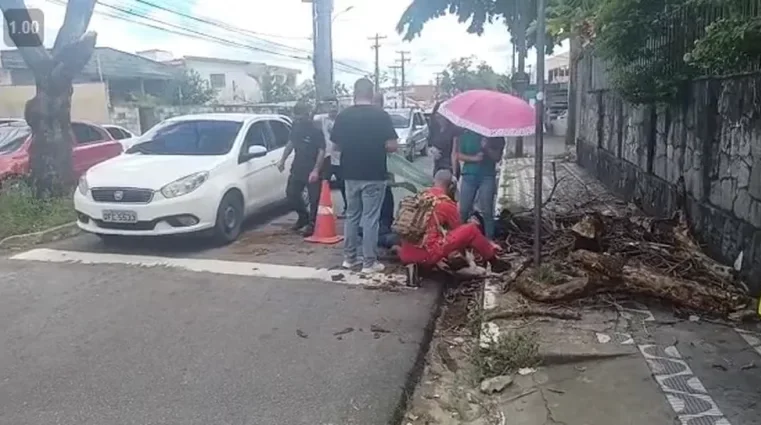 Motociclista é atingido por galho de árvore em avenida de João Pessoa