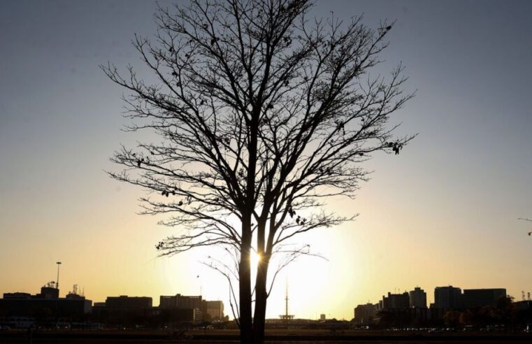 Temperaturas globais devem subir a níveis recordes nos próximos anos