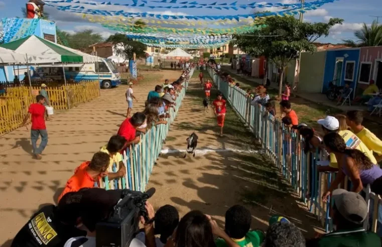 Festa do Bode Rei 2023 tem início nesta sexta em Cabaceiras/PB