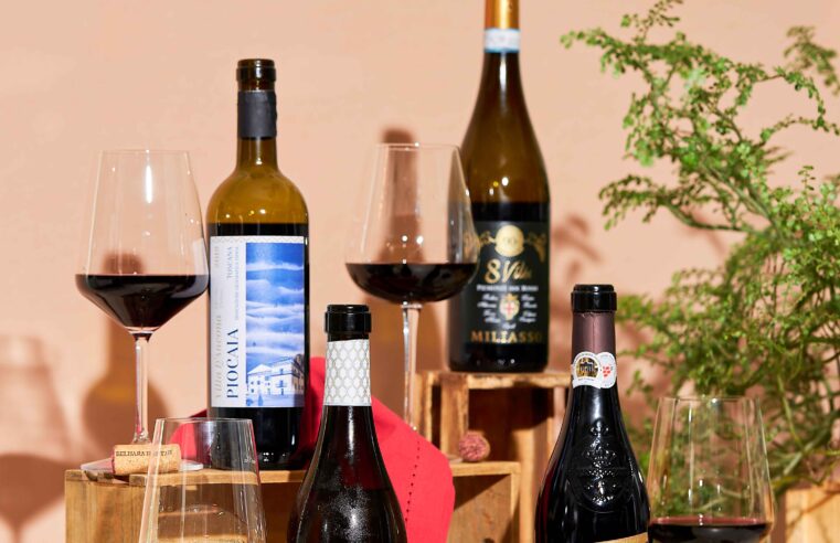 E-commerce de vinhos cria campanha focada nos vinhos italianos