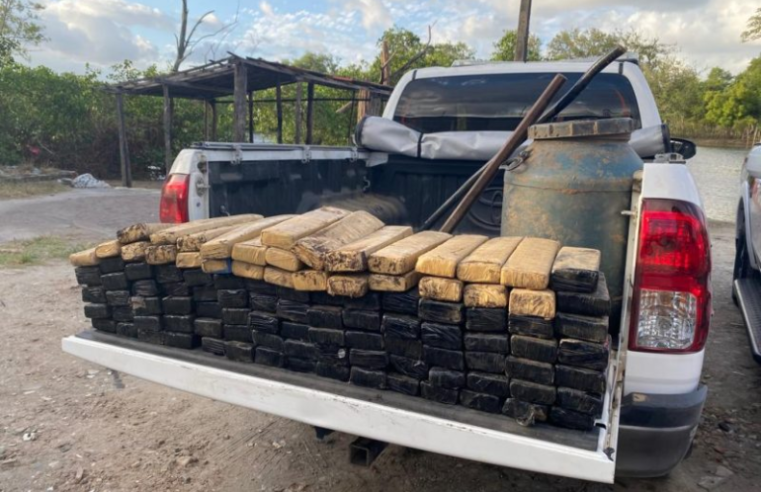 PM apreende 100 kg de drogas que foram achados perto de mangue em Bayeux/PB