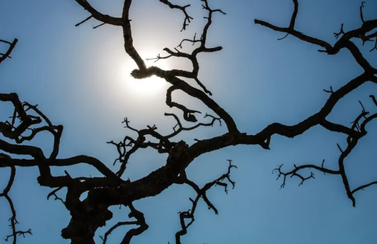 Brasil registra recorde da temperatura média pelo quarto mês seguido