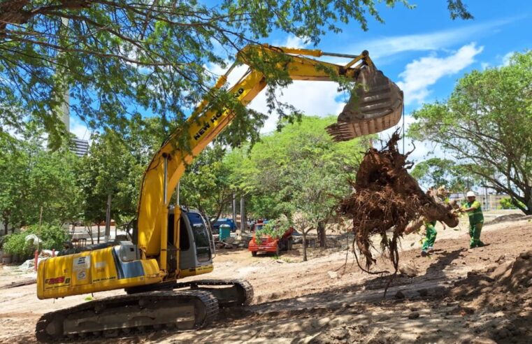 Sesuma realiza transplante de árvores nos parques Evaldo Cruz e Dinamérica em CG