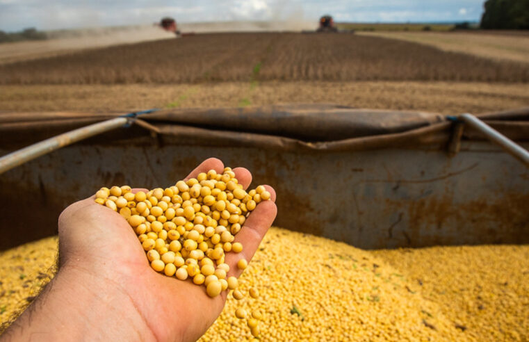 Recuperação judicial no agro segue em alta