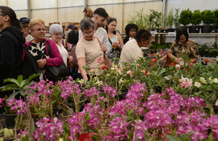 Festa de Flores e Morangos atrai 80 mil visitantes