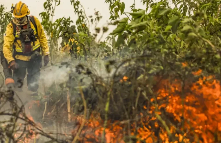 Brasil já registrou mais de 154 mil focos de calor este ano