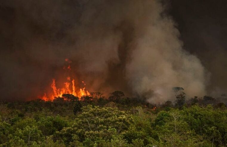 Brasil tem 22,38 milhões de hectares atingidos pelo fogo em nove meses