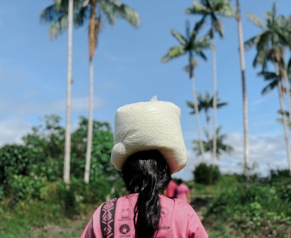 Mulheres lideram soluções climáticas locais no Brasil