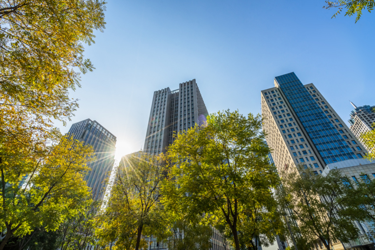ESG segue como prioridade para empresas brasileiras