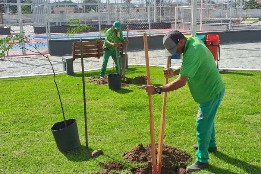 João Pessoa Acelera Arborização: Produção de Mudas Nativas Cresce e Reforça Programa “João Pessoa + Verde”