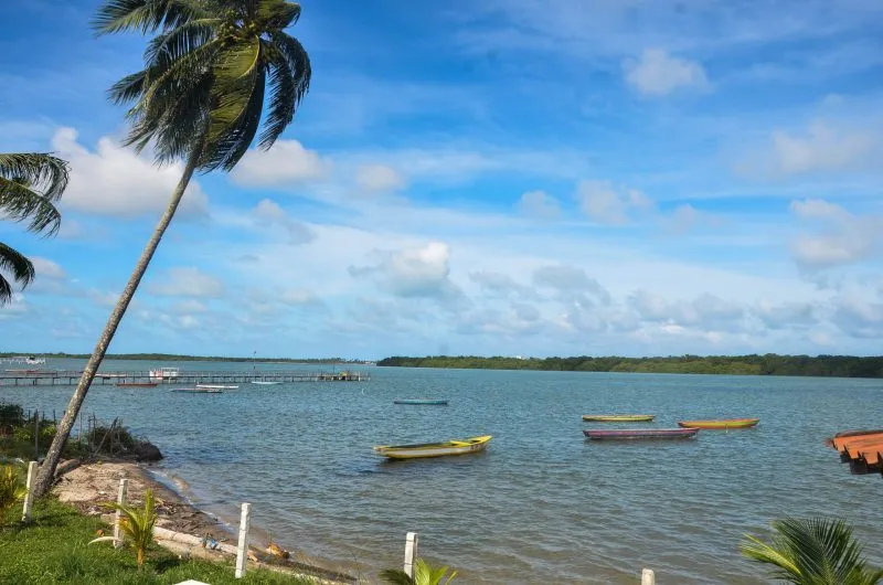 Corpo Encontrado no Rio Paraíba, Santa Rita: Envenenamento ou Afogamento? Perícia Investiga Substância Misteriosa e Lesões