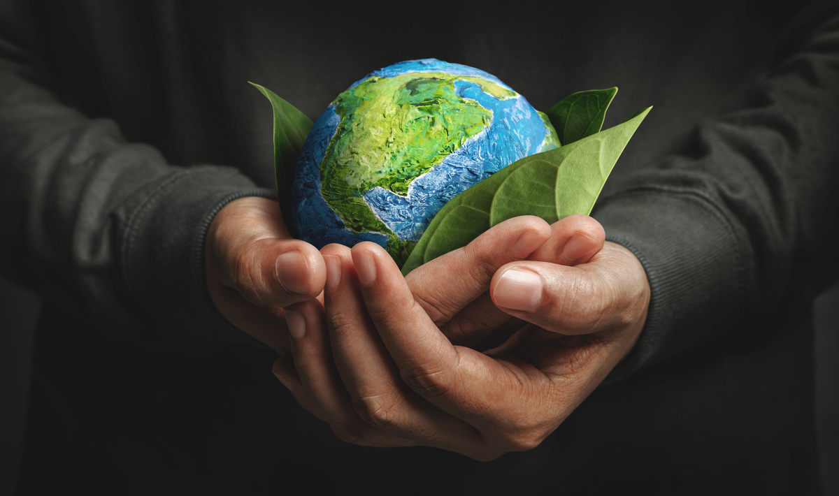 Consciência ambiental representa o respeito à integridade do meio ambiente