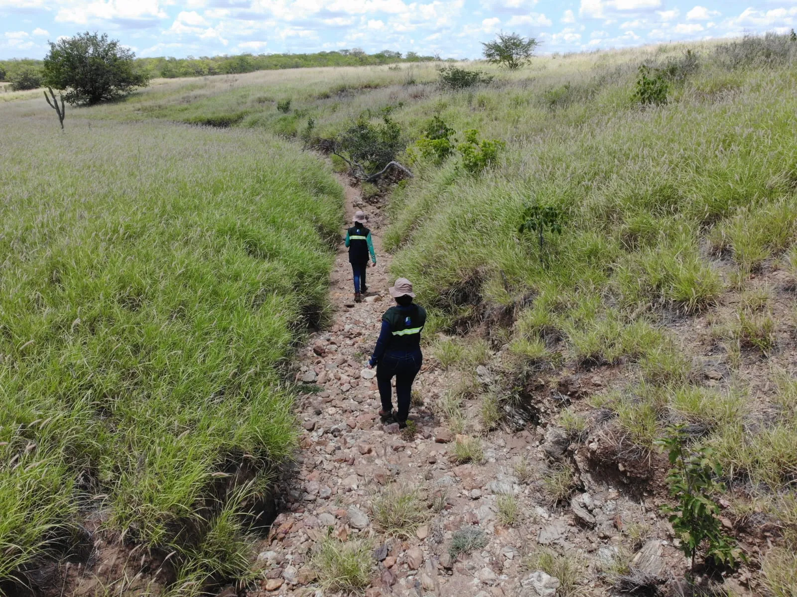 Paraíba Lidera Avanço Nacional: Oficinas de Aprimoramento do Programa de Regularização Ambiental Focam na Recuperação da Caatinga