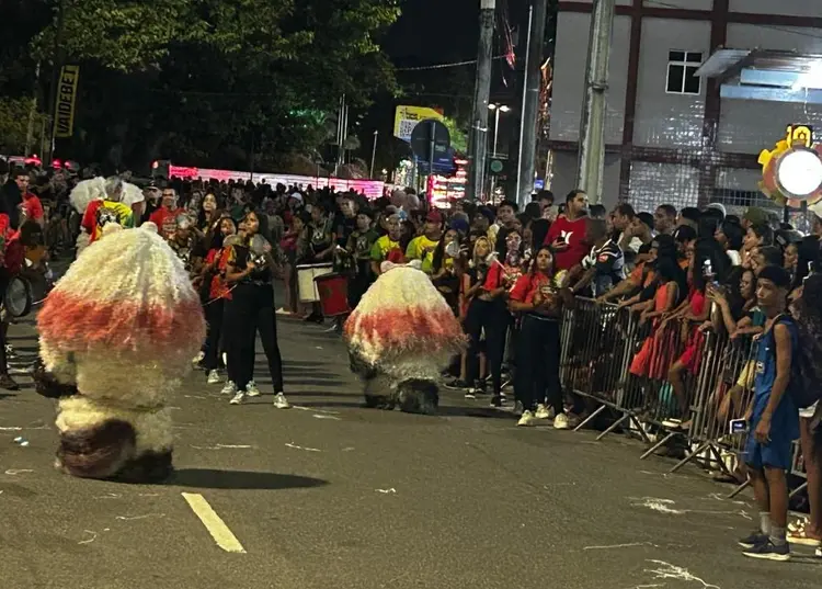 Carnaval Tradição de João Pessoa: Pré-festas agitam São José, Cruz das Armas e José Américo a partir desta sexta-feira com alas ursas, frevos e escolas de samba