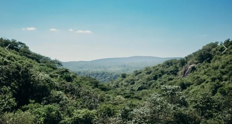 Paraíba Brilha no Nordeste: Estado Conquista 2ª Posição em Ranking Nacional de Sustentabilidade Ambiental