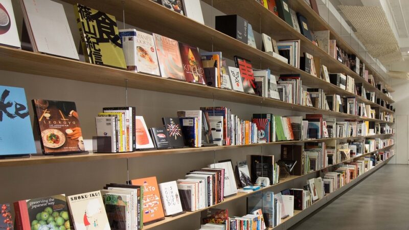 Dia do Livro: São Paulo se destaca pelos espaços de leitura