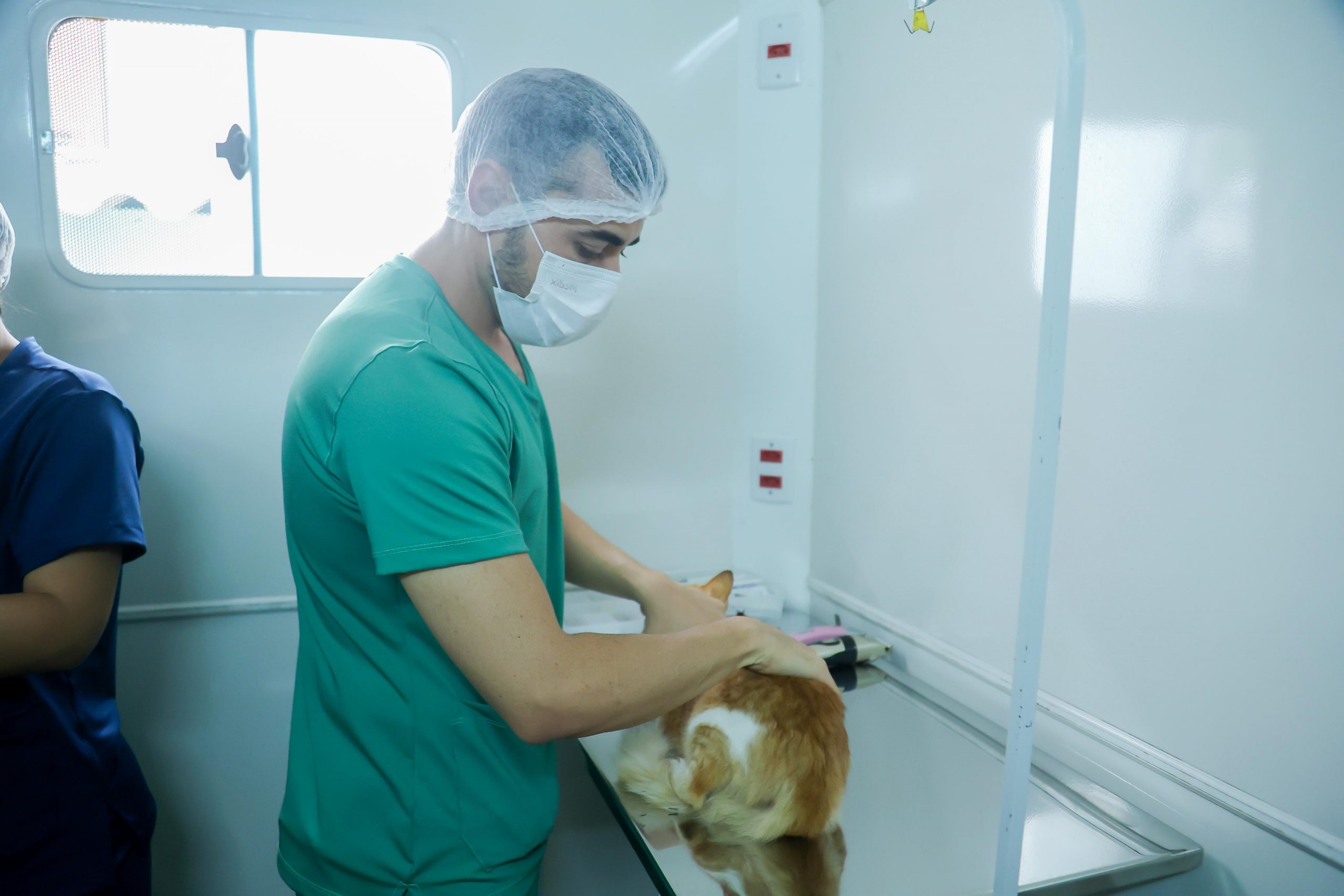 Prazo final para castração gratuita de cães e gatos em João Pessoa: 120 animais serão beneficiados em maio