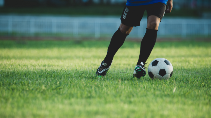 Copa impulsiona gestão de dados em cloud