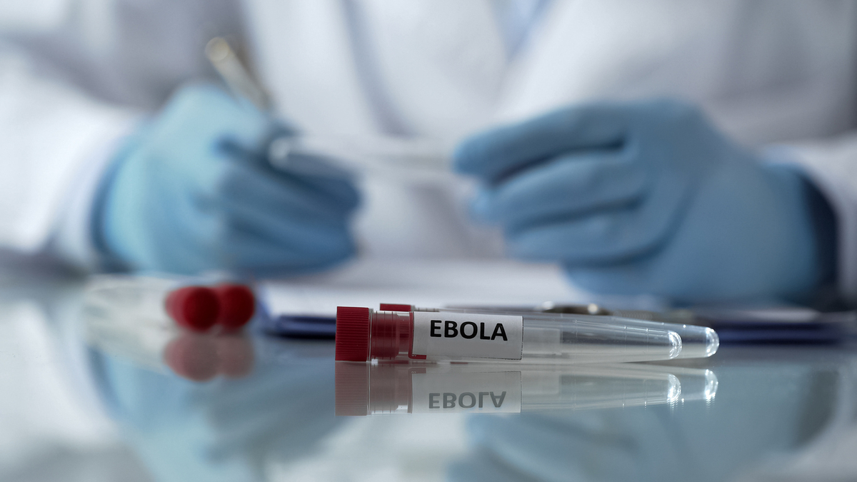 OMS declara emergência internacional por surto de ebola