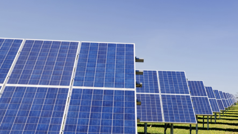 Transição energética avança apesar das tensões globais