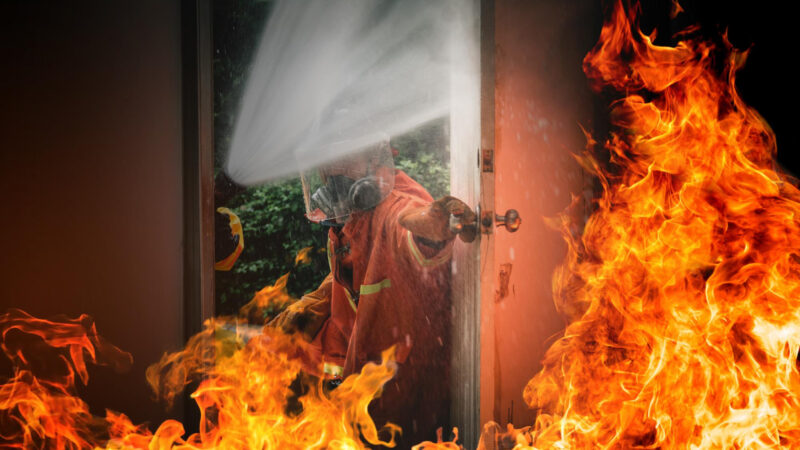 Incêndios em alta reforçam importância das brigadas