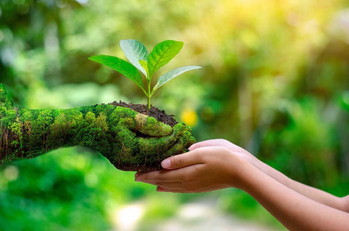 Consciência ecológica rege o comportamento dos ecoturistas