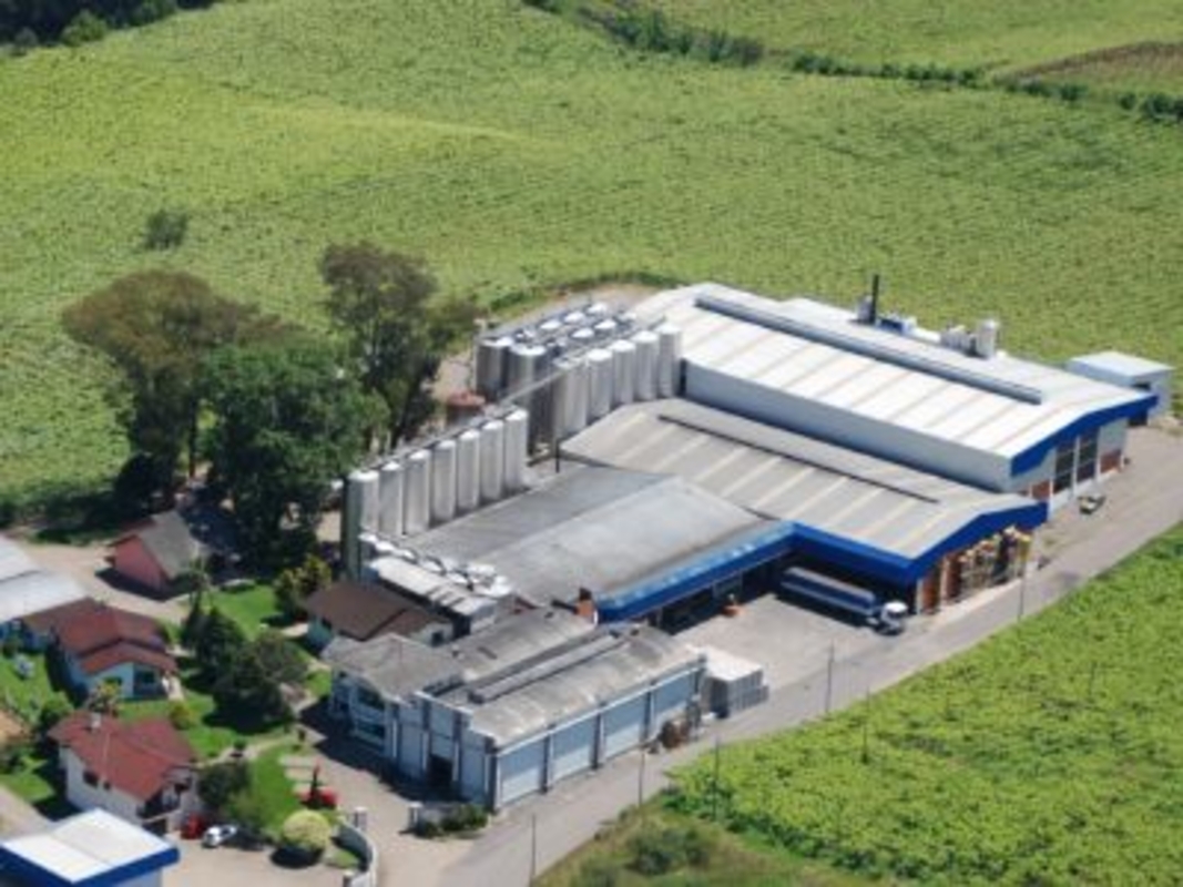 Vinícola Galiotto lança Vinho Rosé Suave na APAS 2026
