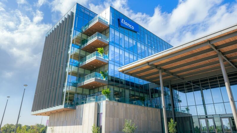 Elanco cresce 15% no 1º trimestre de 2026 e eleva projeções