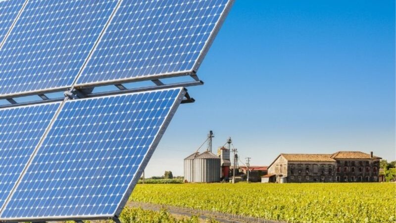 Baterias Moura: gestão energética impulsiona o agro
