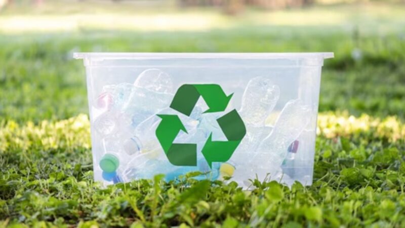 Reciclagem permite a economia de energia e recursos naturais