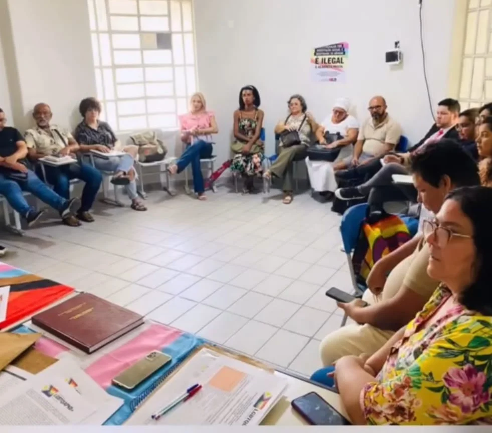 Conselho LGBTQIA+ Discute Violência, Emprego e Controle Social em Reunião Virtual Vital