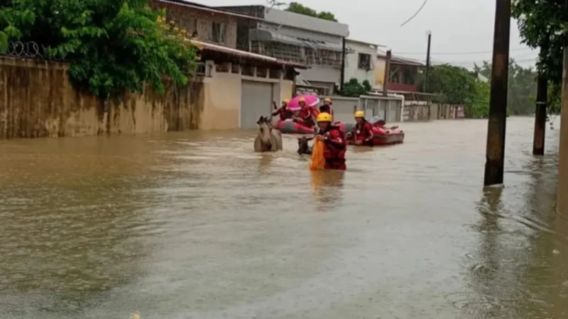 Pernambuco em alerta 6 mortes e 1.600 desabrigados por chuvas