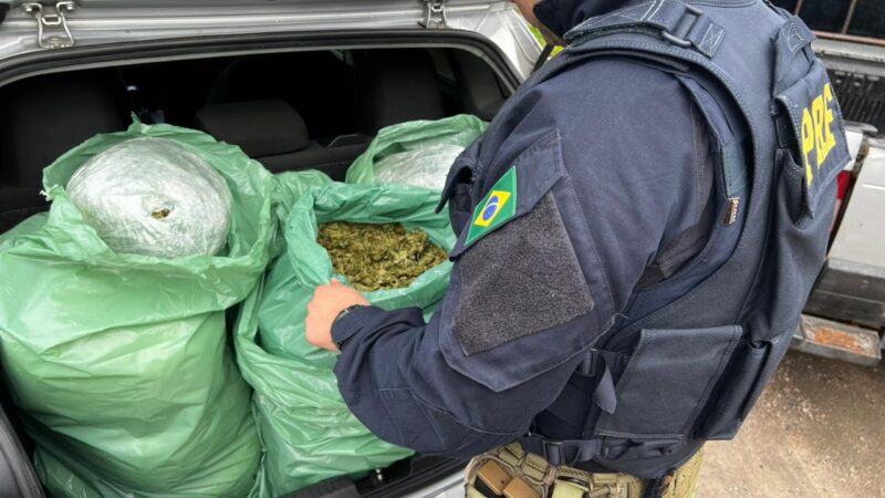 Operação surpresa na BR-230 resulta na apreensão de 25 kg de ‘supermaconha’ e prisão de casal