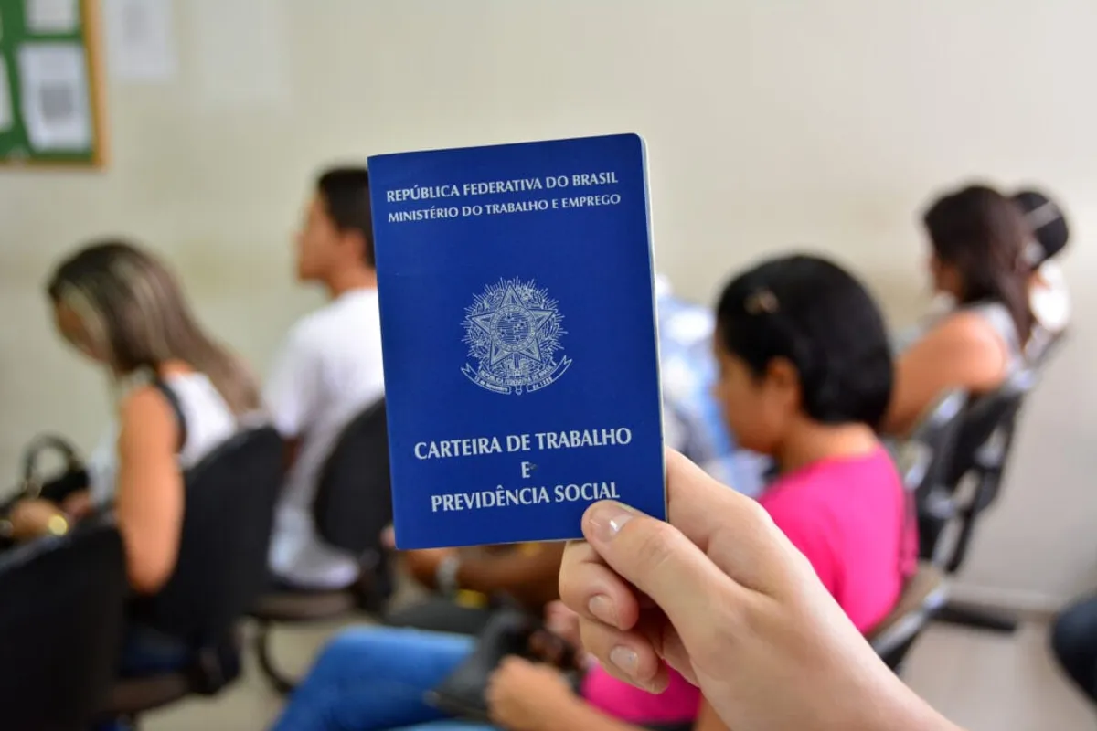 Paraíba em Ascensão: Sistema Nacional de Emprego Impulsiona Mercado com Quase Quatrocentas Oportunidades Abrangendo Múltiplas Cidades e Diversos Níveis Profissionais