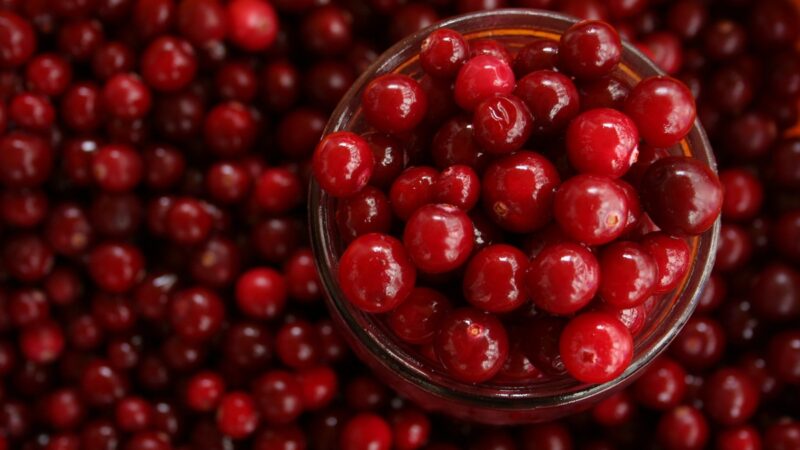 Cranberry ganha espaço como aliado na saúde