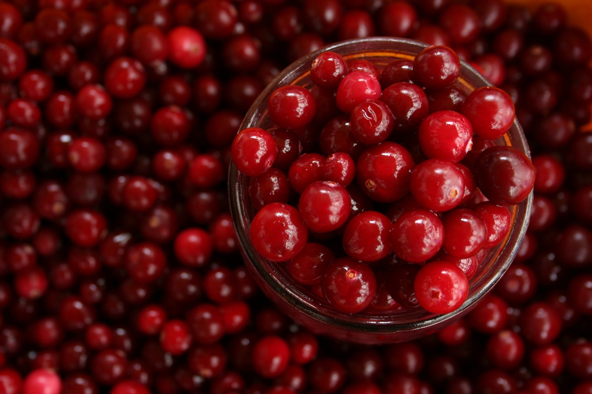 Cranberry ganha espaço como aliado na saúde