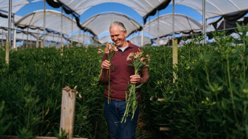 Flor tem origem: o mercado que o Brasil ainda não vê