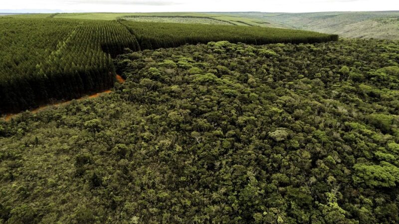 Setores produtivos ampliam ações ambientais em Minas Gerais