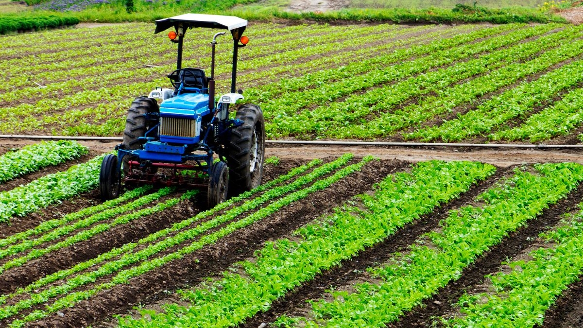 Crédito estruturado apoia mecanização da cafeicultura