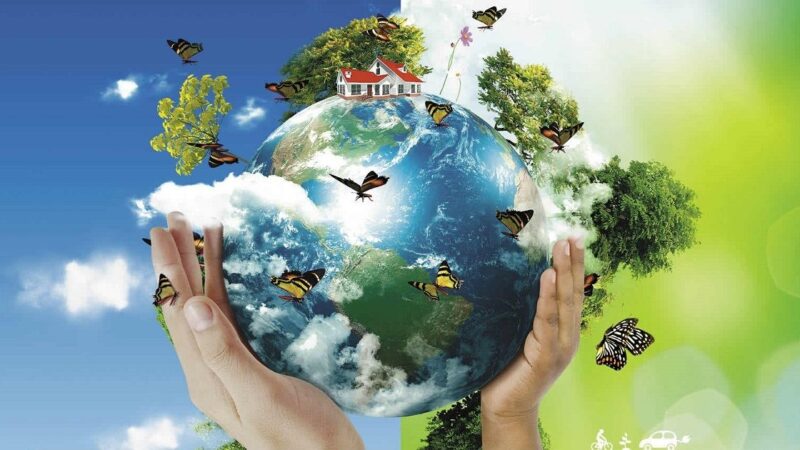 Mudanças climáticas estão no foco do Dia do Meio Ambiente