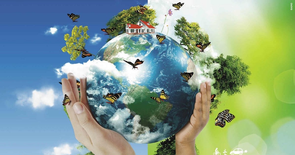 Mudanças climáticas estão no foco do Dia do Meio Ambiente