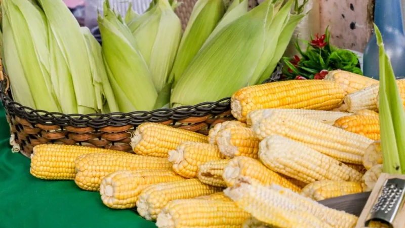 Festival do Milho da Cecaf celebra 10 anos em João Pessoa com preços baixos, comida típica e muito arrasta-pé