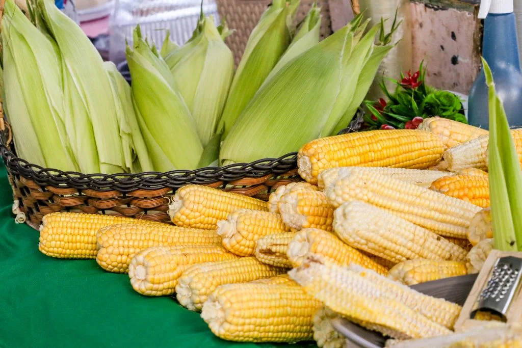 Festival do Milho da Cecaf celebra 10 anos em João Pessoa com preços baixos, comida típica e muito arrasta-pé