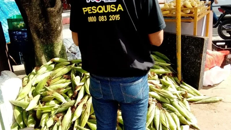 Festas Juninas em Alerta: Preço do Milho In Natura Dispara e Assusta Consumidores em João Pessoa com Variação de R$ 50!