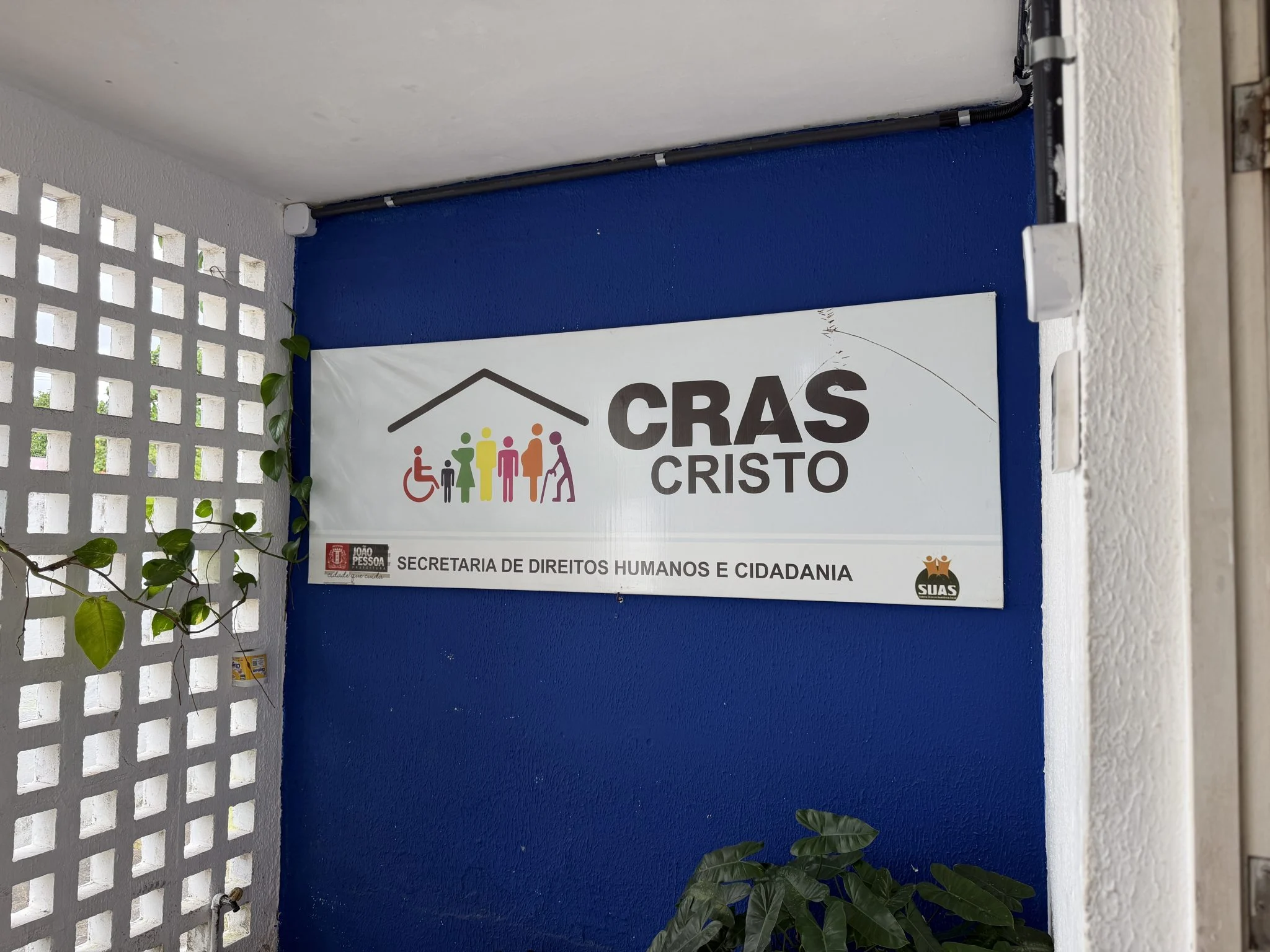 Carteira da Pessoa Idosa em João Pessoa: Saiba como solicitar presencialmente e garanta gratuidade em viagens