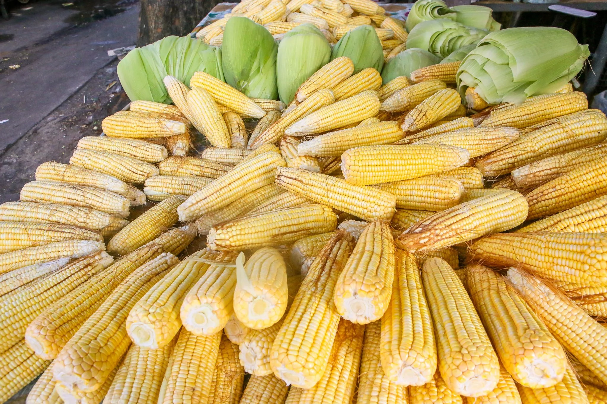 Milho Verde Invade Feiras de João Pessoa: Preparativos para o São João Agitam Mercados Públicos
