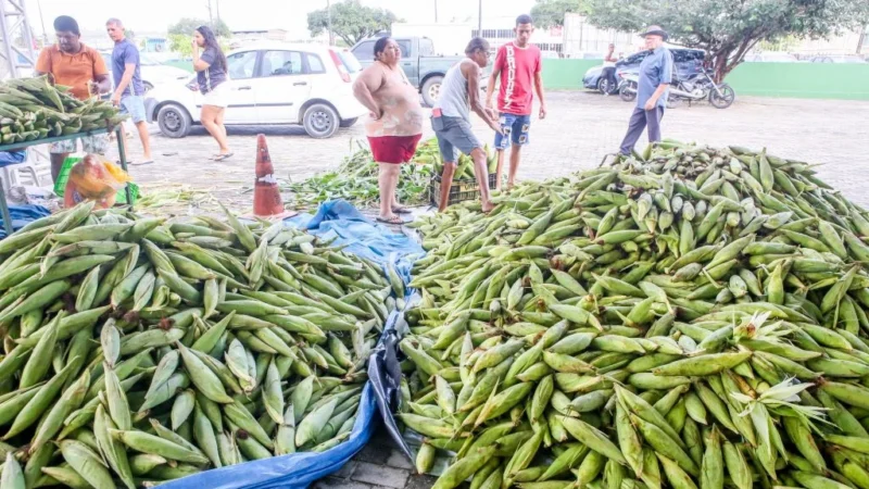 Feira da Cecaf em João Pessoa: Milho Verde Fresco com Preço Imperdível nas Quintas e Sábados de Junho!