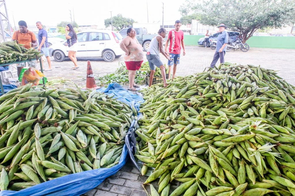 Feira da Cecaf em João Pessoa: Milho Verde Fresco com Preço Imperdível nas Quintas e Sábados de Junho!