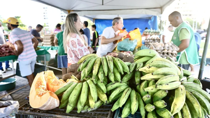 Feira da Agricultura Familiar em João Pessoa: Produtos Orgânicos e Apoio Integral Fortalecem Produtores e Encantam Clientes