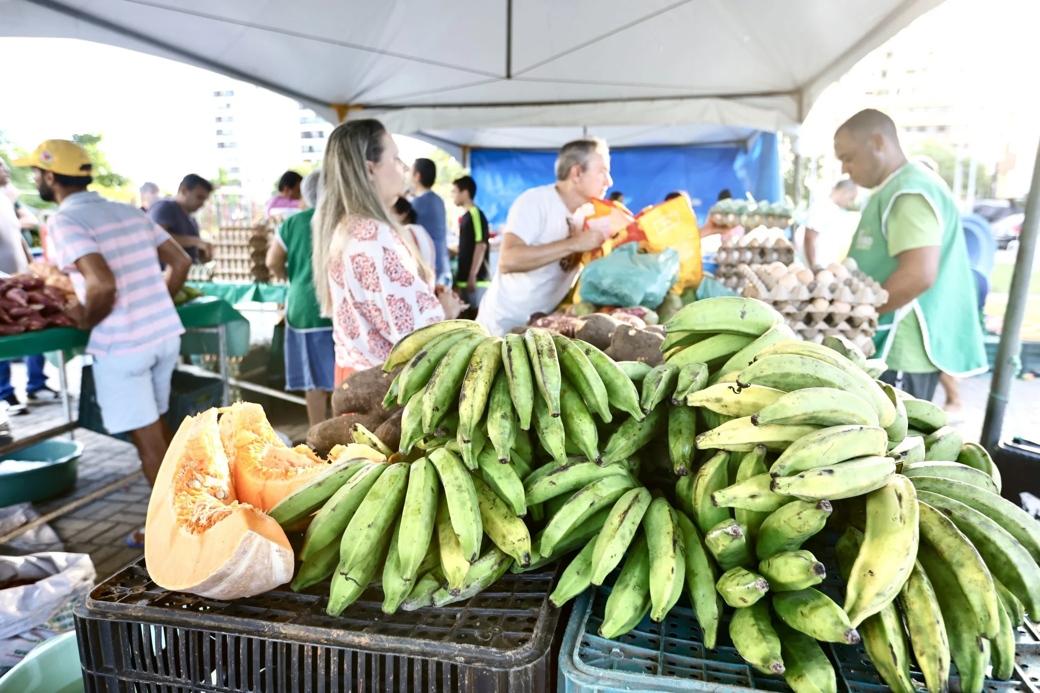 Feira da Agricultura Familiar em João Pessoa: Produtos Orgânicos e Apoio Integral Fortalecem Produtores e Encantam Clientes